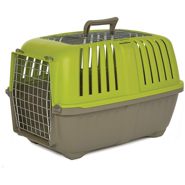 Wayfair 2025 cat carrier